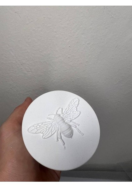 Arı Kutusu, Takı Kutusu, Dekoratif Kutu fırsatları