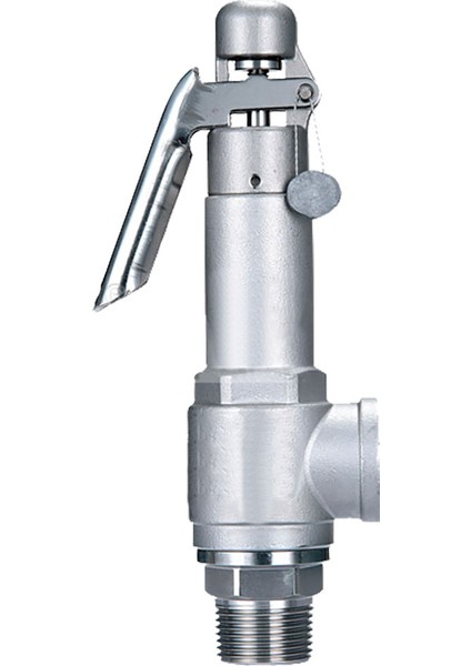 1/2" Paslanmaz Dişli Emniyet Ventili
