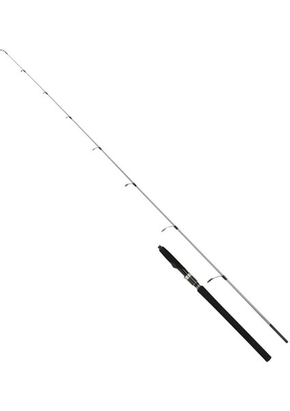 Speedmaster R 173 cm Max. 210 gr Jig Kamışı