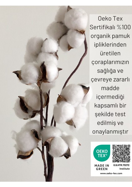 12 Çift Pamuklu Erkek - Kadın Gri Patik Çorap Bilek Boy Koşu Ve Yürüyüş Çorabı