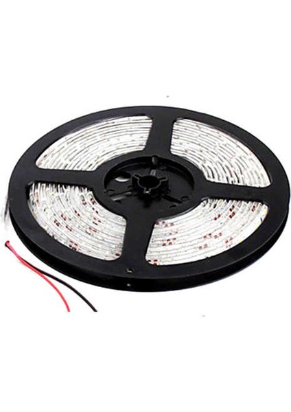 12V/60 LED Dış Mekan Ip 20 Kırmızı Şerit LED 5 Metre