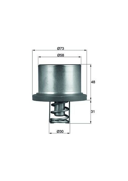 Cayenne Termostat 07-10 [behr-T] [94810612501]