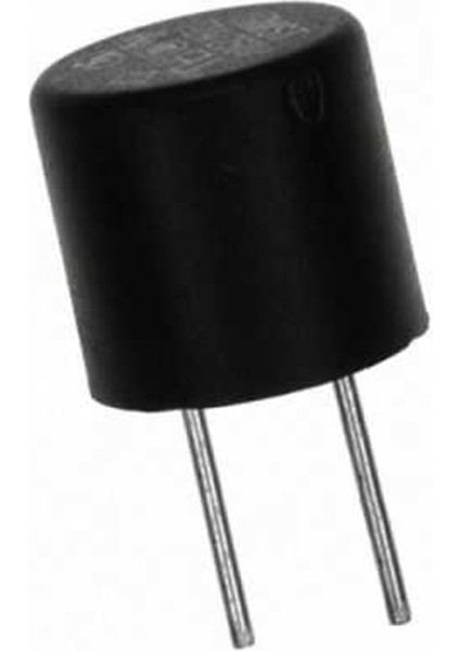 Kondansatör Tipi Polyfuse 1 Amper