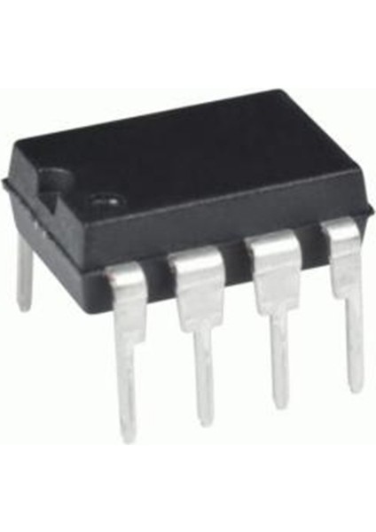 LM386 Entegre