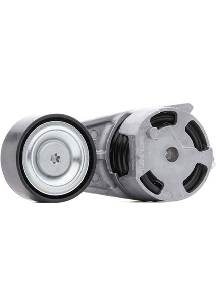 Gergi Kütüğü N13