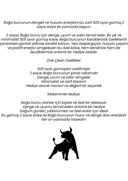 925 Ayar Gümüş 2 Sayısı Kolye Boğa Burcu Için Şanslı Rakam Denge ve Uyum Kırmızı Renk