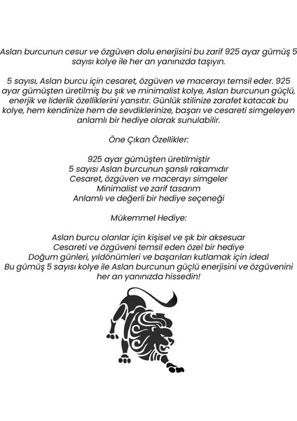 925 Ayar Beyaz Gümüş 5 Sayısı Kolye Aslan Burcu Için Şanslı Rakam Cesaret ve Özgüven Sembolü fırsatları