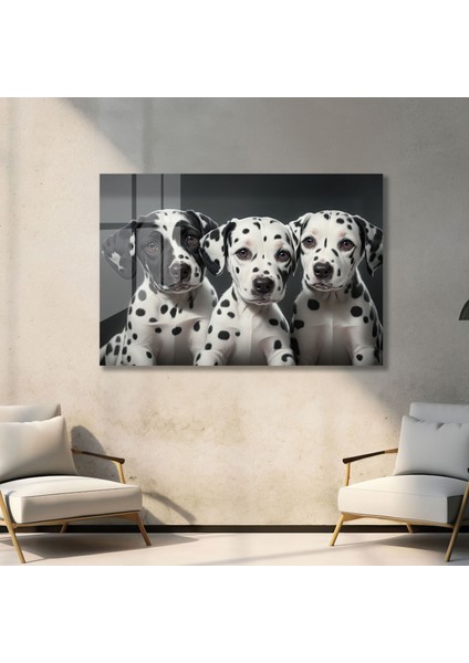 Dalmaçyalı Yavru Köpek Cam Tablo