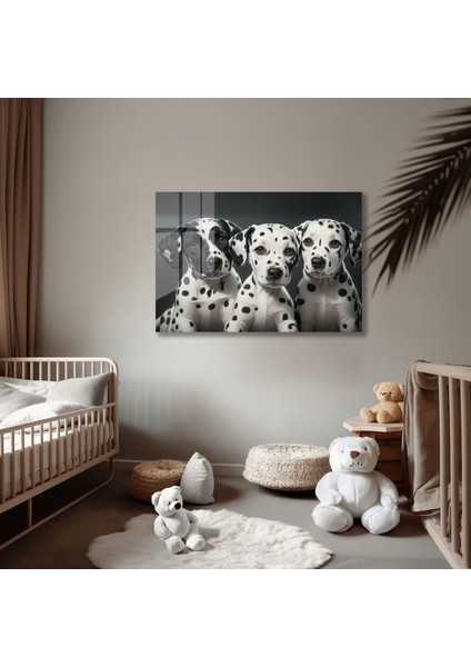 Dalmaçyalı Yavru Köpek Cam Tablo