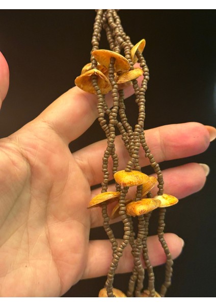 El Yapımı Deniz Midye Kabuklu Boncuklu Tasarım Kadın Kolye Boy 34 cm fiyatları