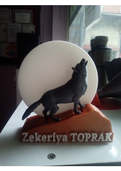 3 D Bozkurt modelleri