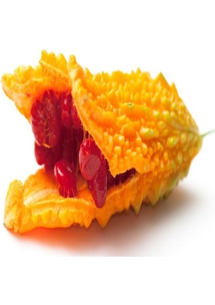 Kudret Narı Tohumu Cennet Meyvesi Tohumu 5 Tohum + Saksı + Toprak