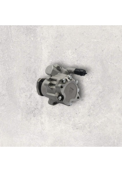 028145157D Direksiyon Pompası 80 Bar - Polo Classıc-Caddy-Inca