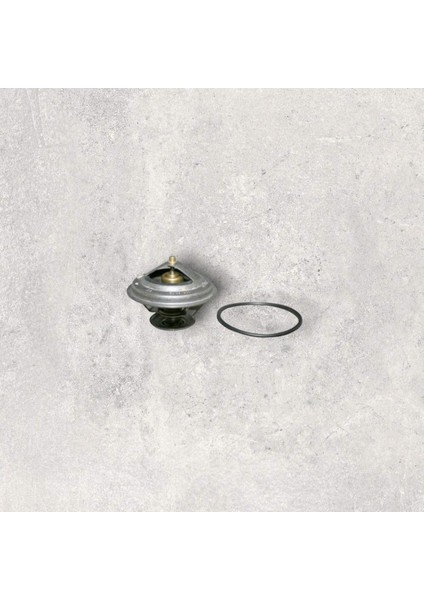 69121113 Termostat & O-Ring 87C - Transporter T4-Lt 35-Crafter