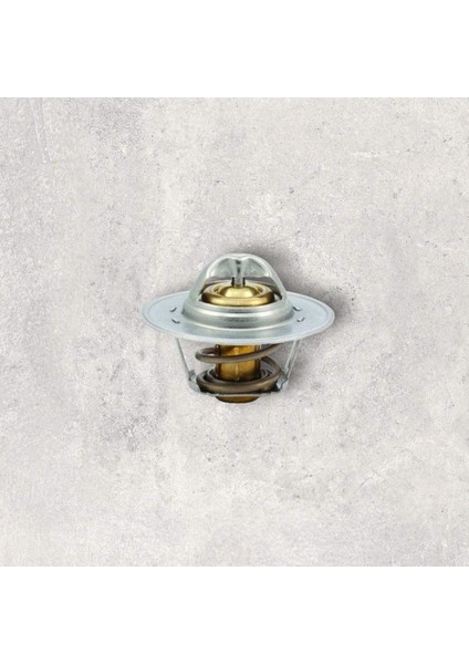 050121113C Termostat 87C-102C - Passat-Bora-Caddy-Cordoba-Fabıa-Golf-Jetta-Ibıza-Leon-Octavıa-Aft-Aeb-Adr