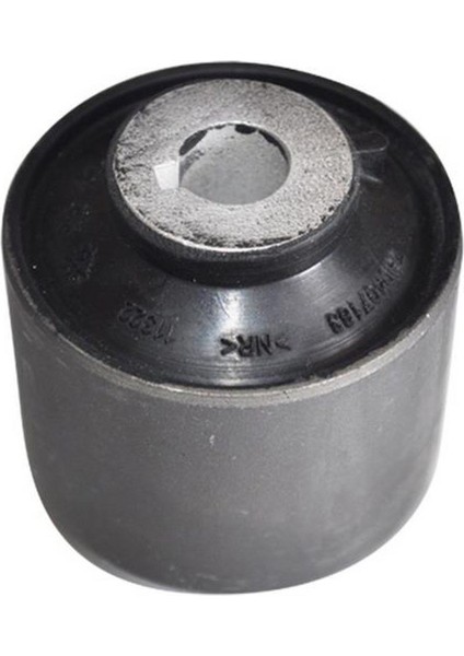 Salıncak Burcu T5 2004- Buyuk