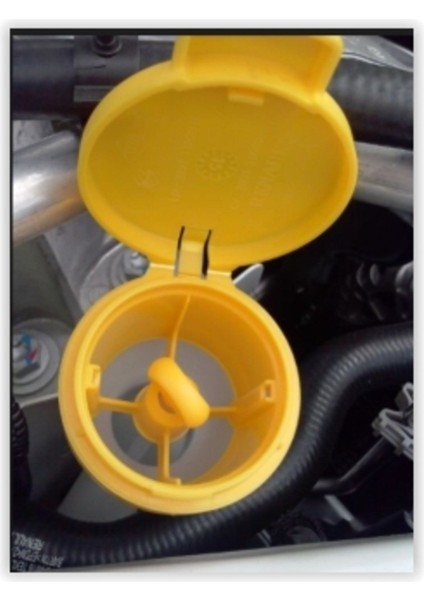 Cam Su Fiskiye Depo Kapağı Megane 3 Fluence Clio 4