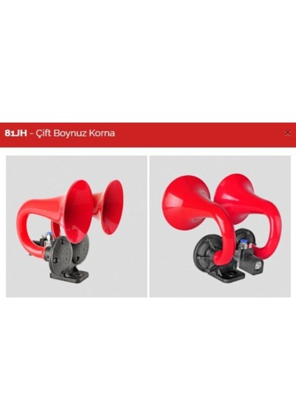 Korna Havali Çift Borulu (Ramhorn / Çift Boynuz) 24V