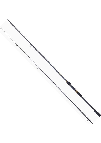 Procaster 243 cm 14-42 gr Spin Kamış