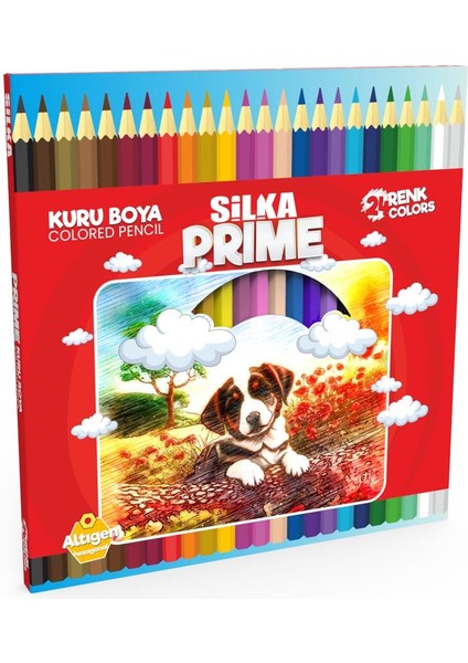 Prime Karton Kutu Kuru Boya Kalemi Tam Boy 24 Renk ART.1048