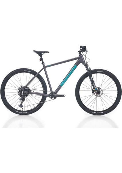 Magma Comp 9.1 Cues 29'' 10V Hd Dağ Bisikleti Mat Yeşil 48CM