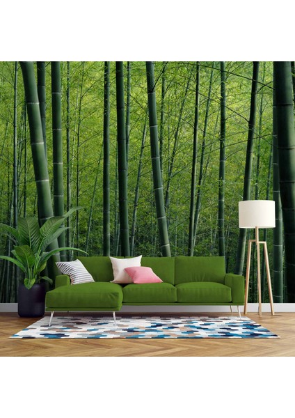 Bambu Ormanı Manzaralı Duvar Kağıdı