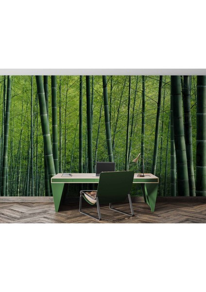 Bambu Ormanı Manzaralı Duvar Kağıdı fırsatları