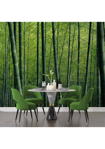 Bambu Ormanı Manzaralı Duvar Kağıdı indirimleri