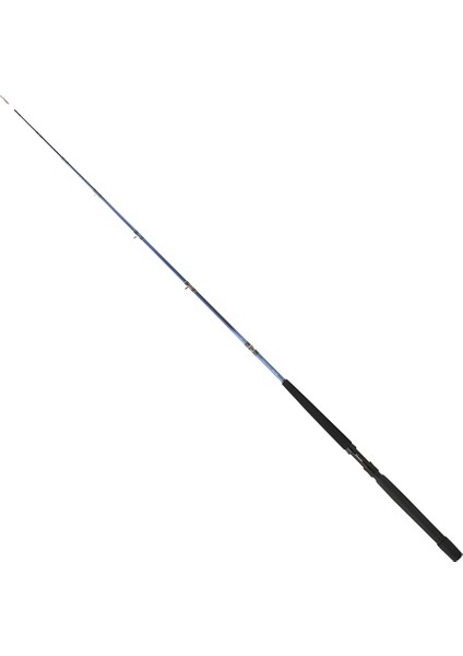 Tanacom 200 cm 250-1000 gr Bot Kamış