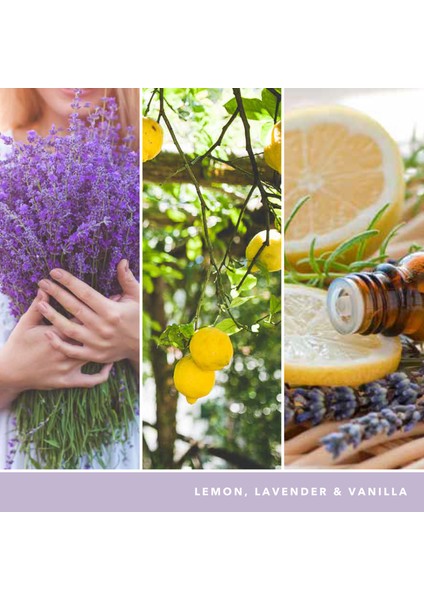 Lemon Lavender Signature Orta Mum modelleri