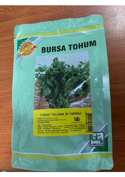 Iri Yaprak Maydanoz Tohumu 500GR