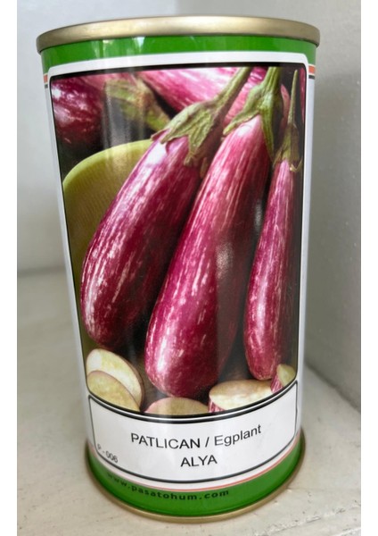 Patlıcan Tohumu 100GR