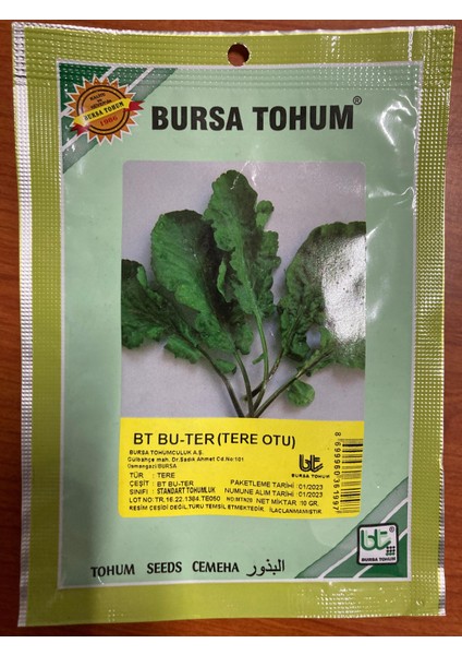 Bursa Tohum Bu-Ter Tere Otutohumu 10GR