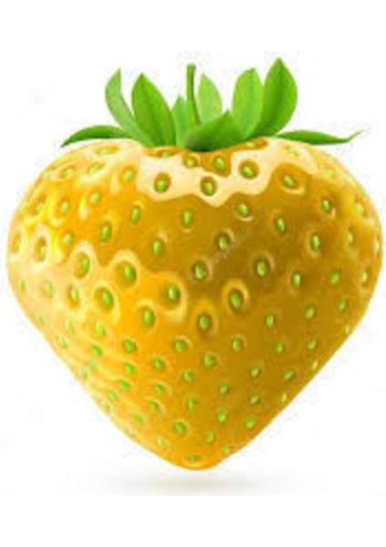 10 Adet Tohum Nadir Tropikal Sarı Çilek Tohumu Yediveren Sarı Çilek + Saksı Toprak modelleri