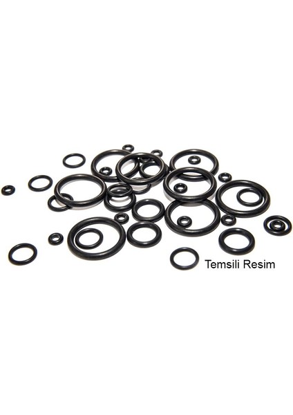 O-Ring 17,86X2,62MM.10 Adet, M18 Vana Alt Için fiyatları