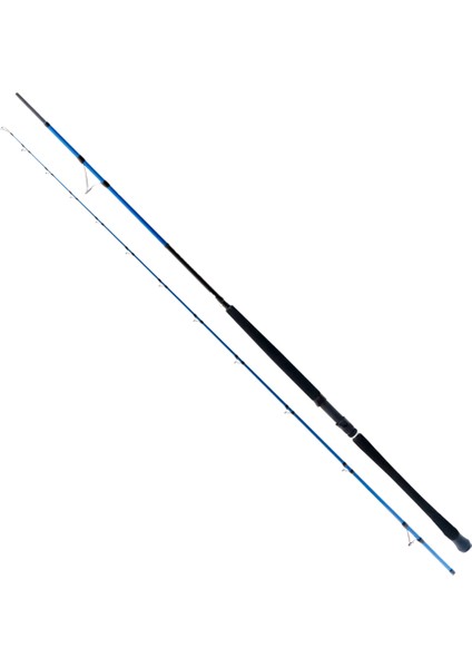 Shore Game Fuji 295 cm 30-100 gr Shore Jig Kamış