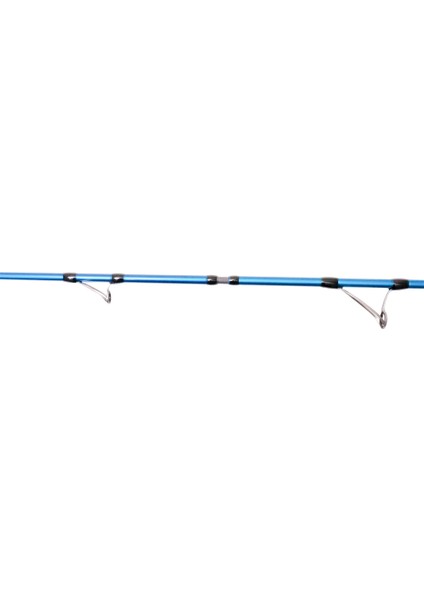 Shore Game Fuji 295 cm 30-100 gr Shore Jig Kamış