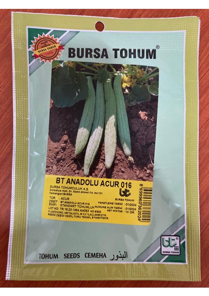 Anadolu Acur Tohumu 10GR