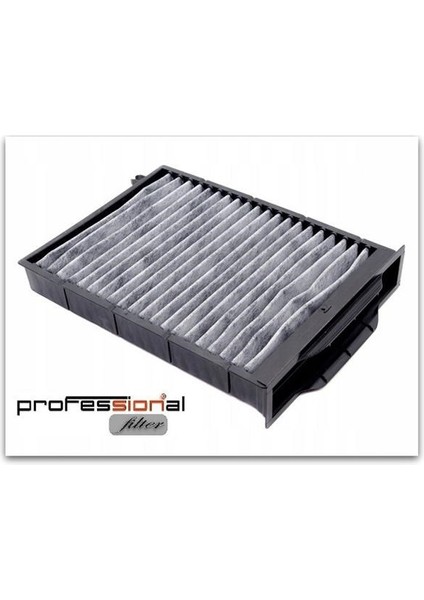 Renault Megane 2 1.4 Polen Filtresi 2004-2009 Karbonlu