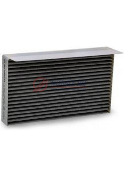 Polen Filitresi Karbonlu Megane 3 Fluence 2010 -