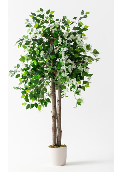 Yapay Ağaç Begonvil Beyaz 160 cm 56 Dal