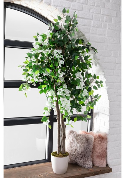 Yapay Ağaç Begonvil Beyaz 160 cm 56 Dal