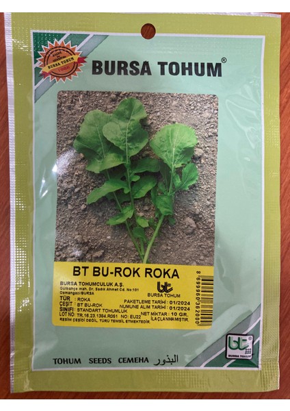 Bu-Rok Roka Tohumu 10GR