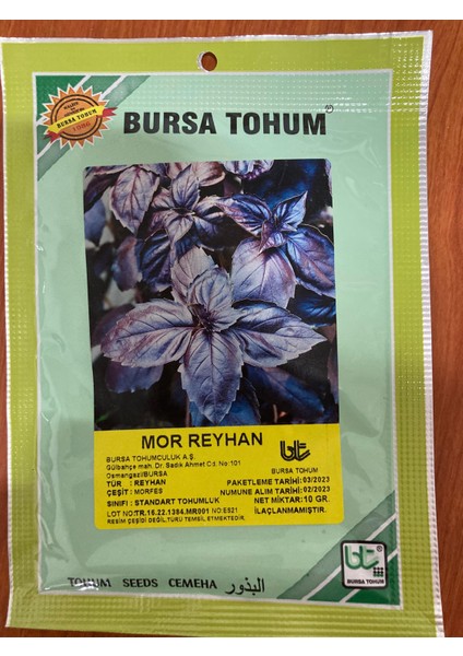 Mor Reyhan 10GR
