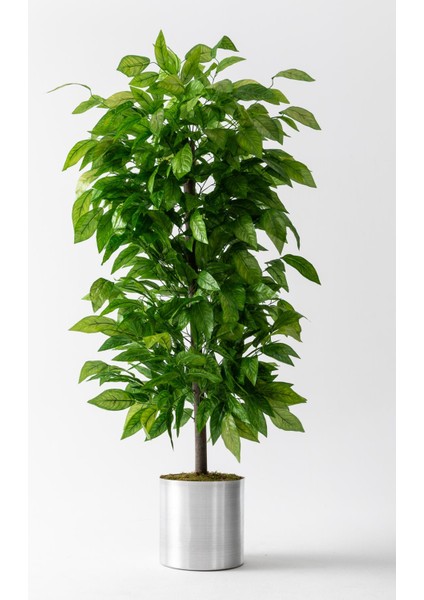 Yapay Ceviz Ağacı 180 cm