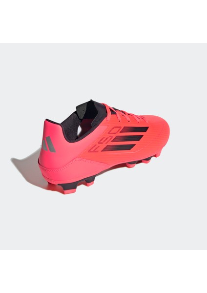 F50 Club Fxg Turbo/aurbla/platınm