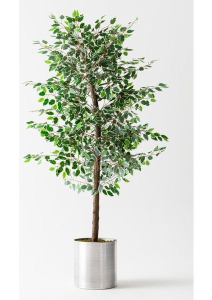 Yapay Starlight Benjamin Ağacı 180 cm