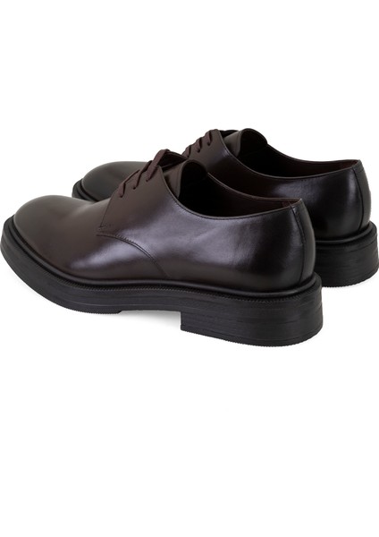 Darrin Kahve Erkek Deri Günlük Ayakkabı fırsatları