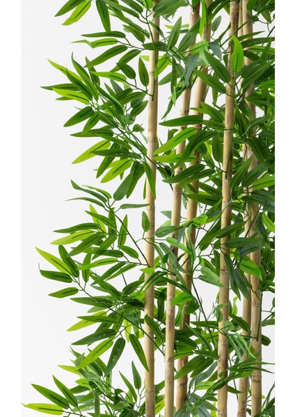 Yapay Bambu Ağacı 185 cm