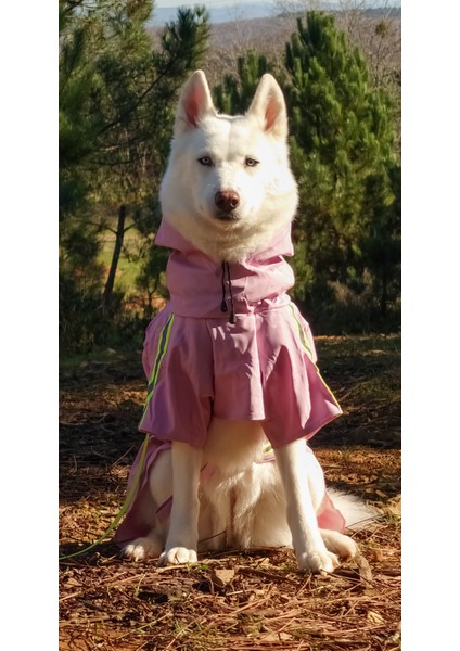 Köpek Yağmurluğu Su Geçirmez Yağmurluk